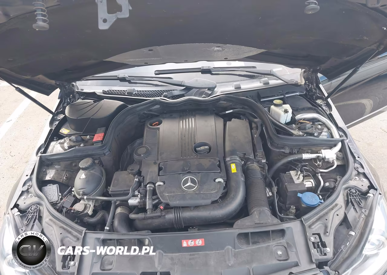 2014 Mercedes-Benz C 250 Sport VIN:WDDGF4HB9ER306231 - 10