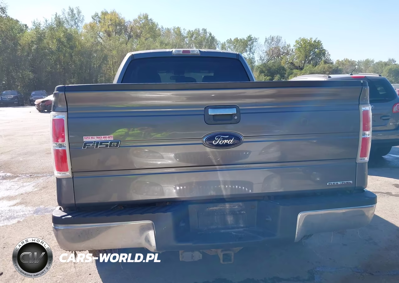 2011 Ford F-150 Xlt VIN:1FTFX1EF7BFD37998 - 17