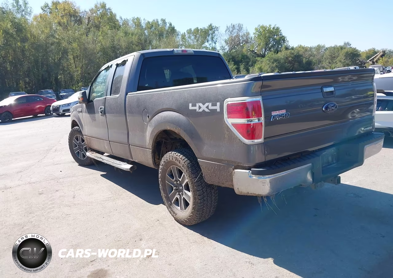 2011 Ford F-150 Xlt VIN:1FTFX1EF7BFD37998 - 3
