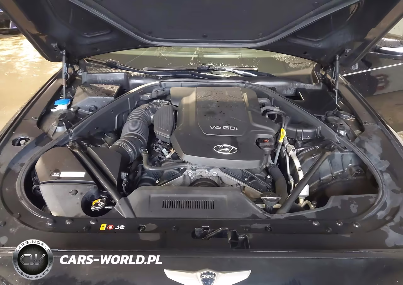 2015 Hyundai Genesis 3.8 VIN:KMHGN4JE1FU017162 - 10