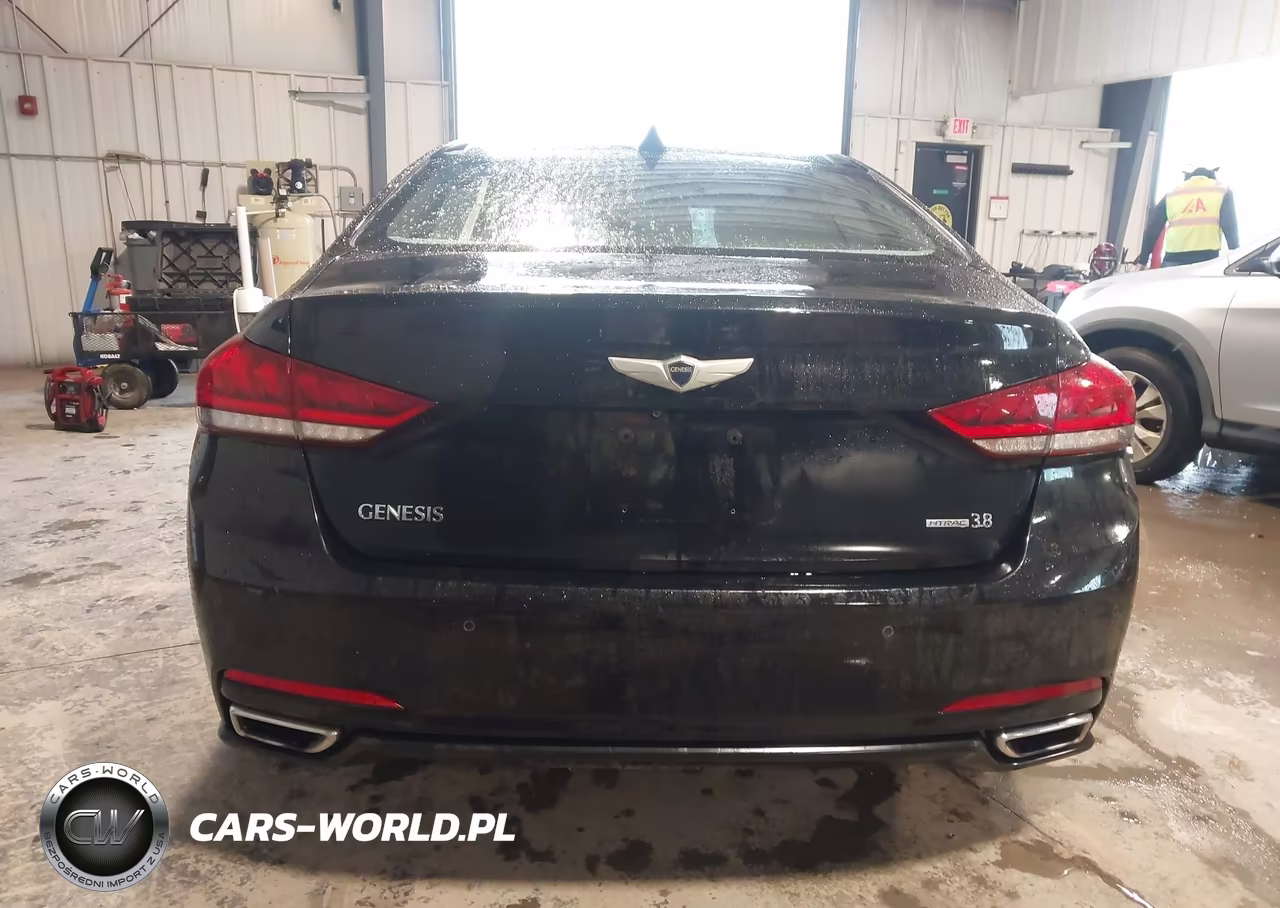 2015 Hyundai Genesis 3.8 VIN:KMHGN4JE1FU017162 - 16