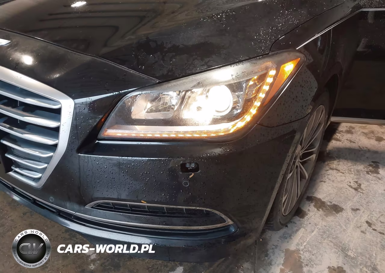 2015 Hyundai Genesis 3.8 VIN:KMHGN4JE1FU017162 - 6