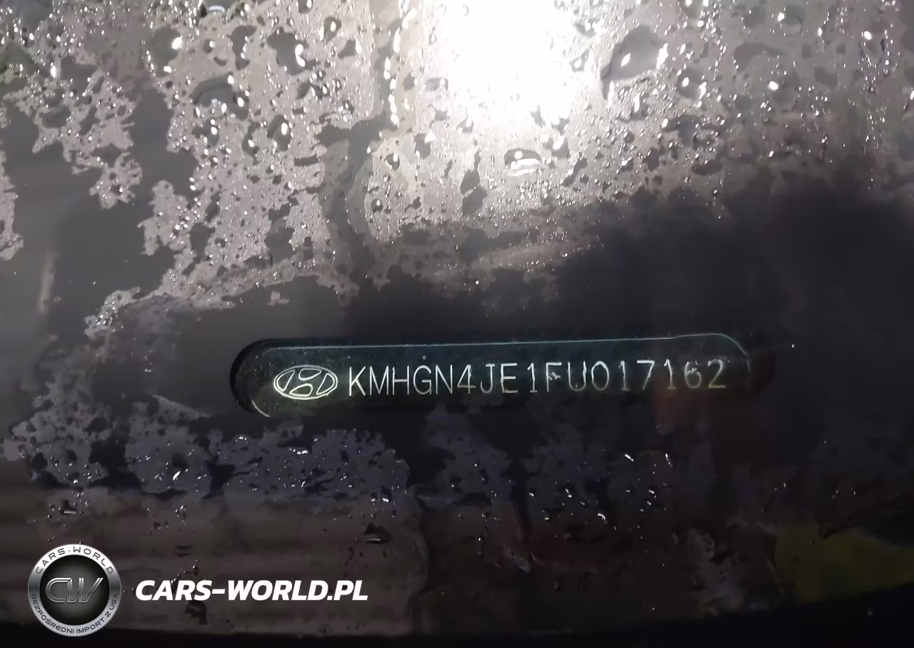 2015 Hyundai Genesis 3.8 VIN:KMHGN4JE1FU017162 - 9