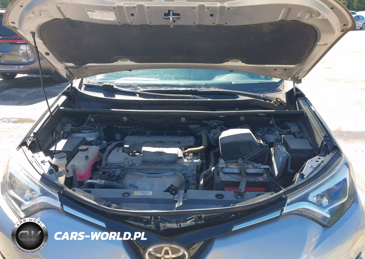 2016 Toyota Rav4 Limited VIN:2T3DFREV4GW442990 - 10