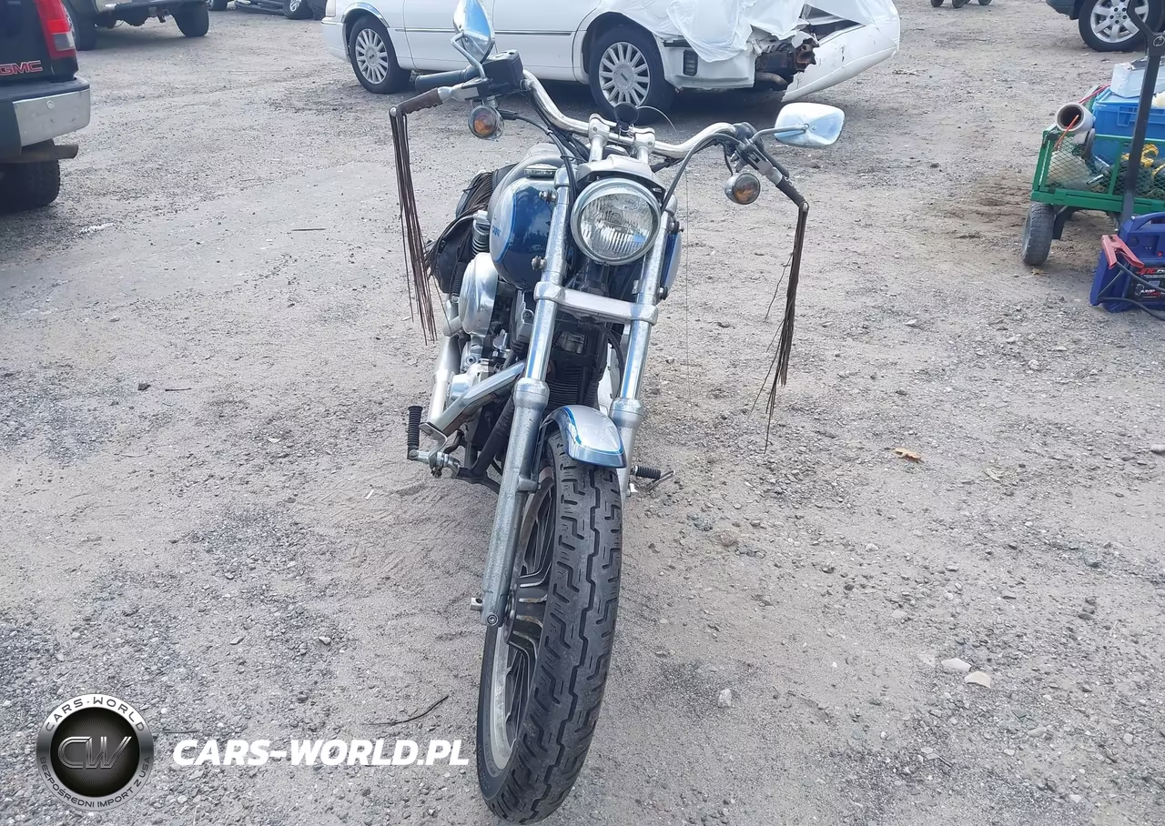 2002 Harley-Davidson Fxdl VIN:1HD1GDV132K401475 - 12