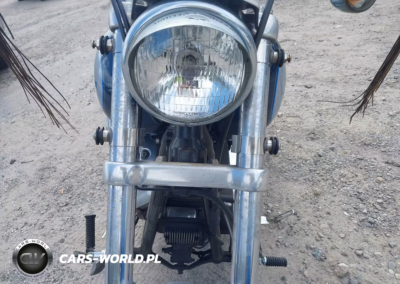 2002 Harley-Davidson Fxdl VIN:1HD1GDV132K401475 - 17
