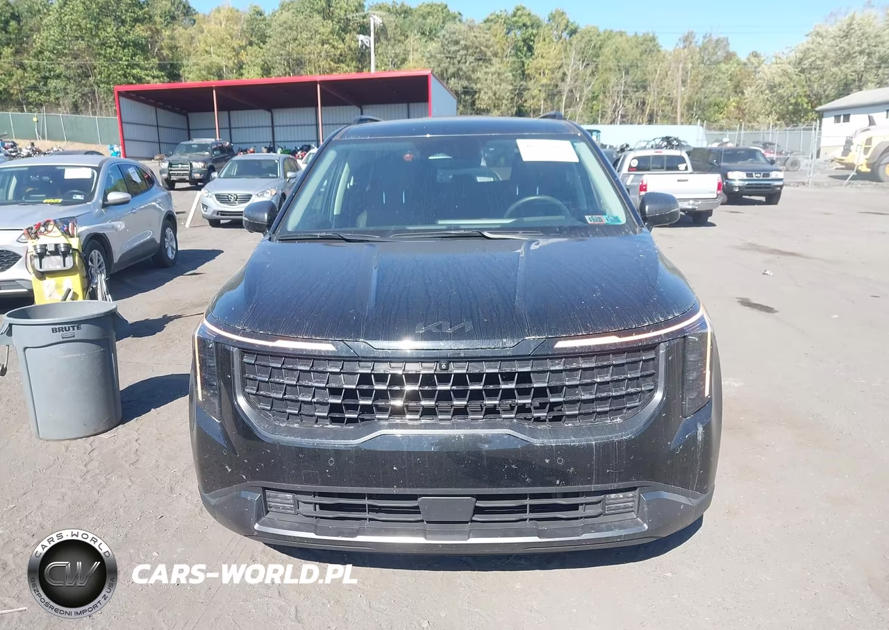 2025 Kia Carnival Mpv Sx Prestige VIN:KNDNE5K37S6490691 - 12