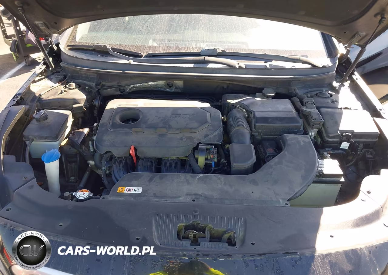 2016 Hyundai Sonata VIN:5NPE24AF6GH392859 - 10