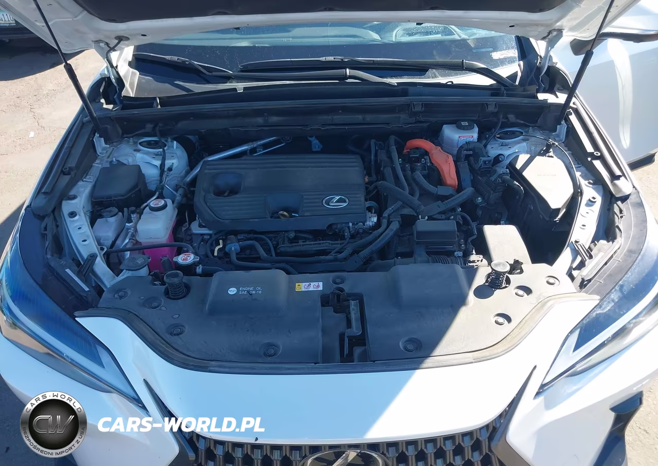 2025 Lexus Nx 350H Premium VIN:JTJGKCEZ7S2040906 - 10