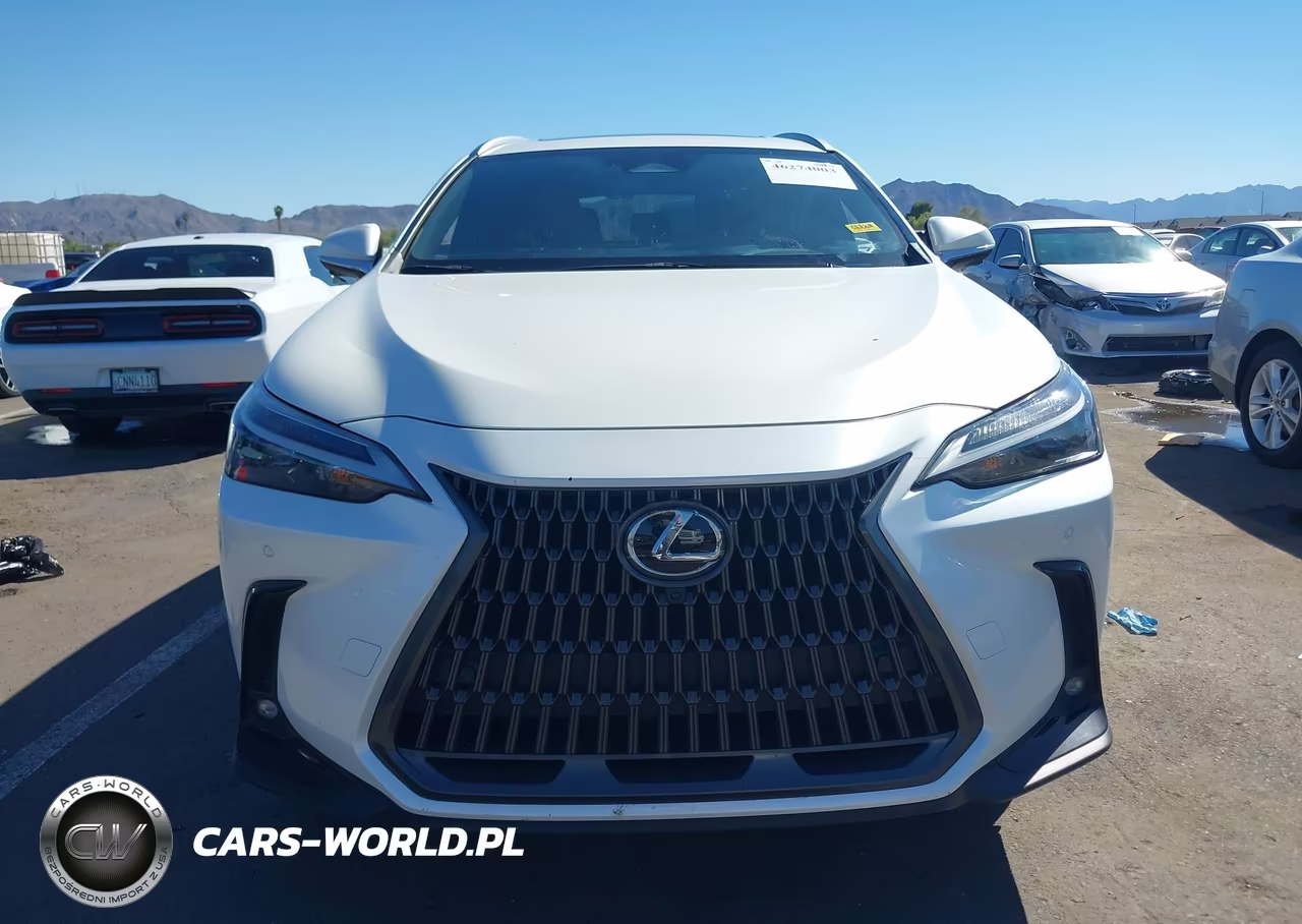 2025 Lexus Nx 350H Premium VIN:JTJGKCEZ7S2040906 - 13