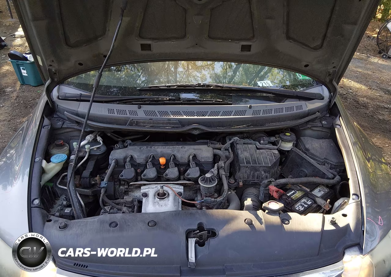 2010 Honda Civic Lx VIN:2HGFA1F51AH301018 - 10
