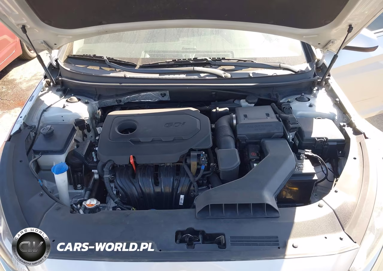 HYUNDAI SONATA SE VIN:5NPE24AF7JH701214 - 10