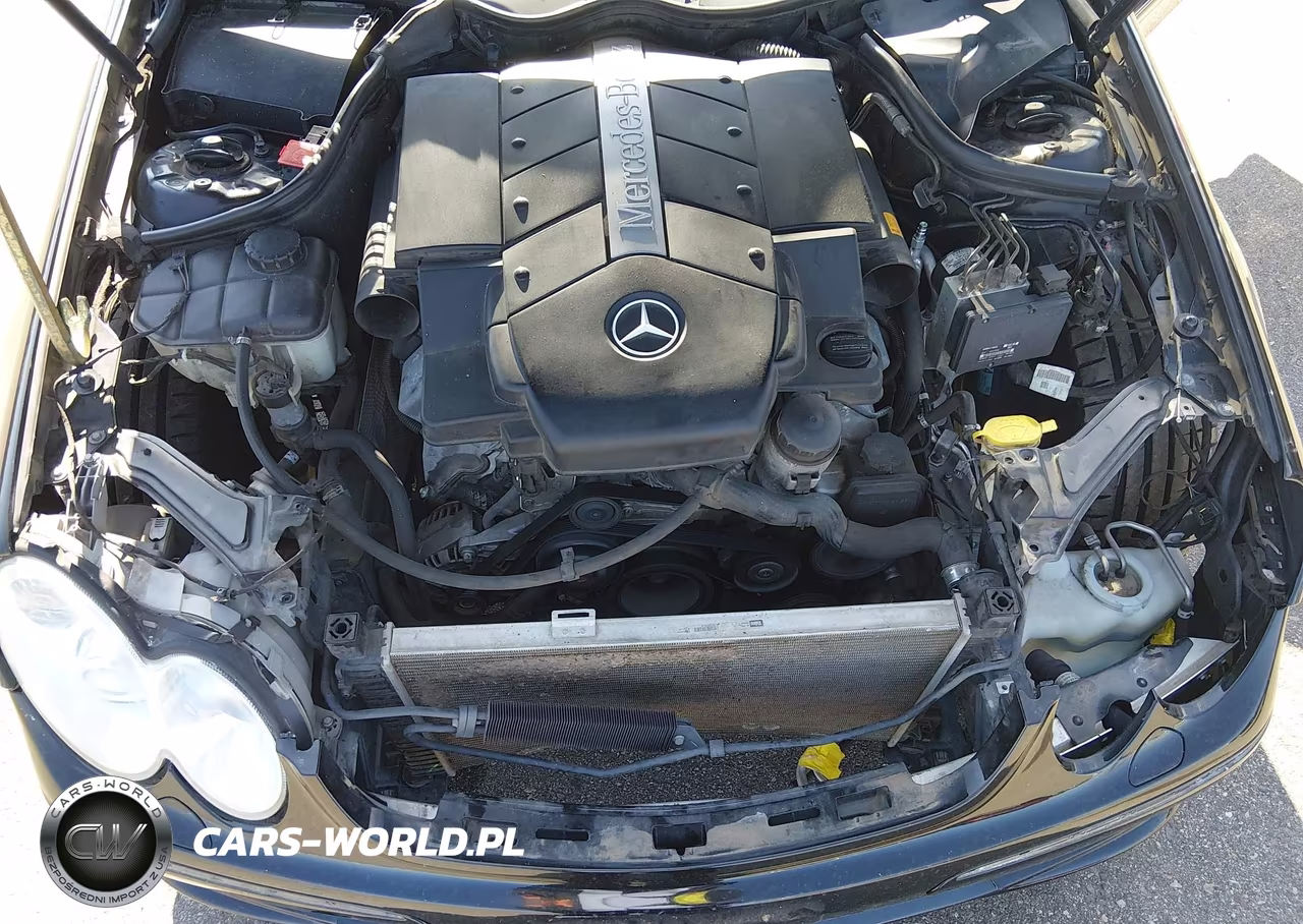2004 Mercedes-Benz Clk 500 VIN:WDBTK75G24T007492 - 13