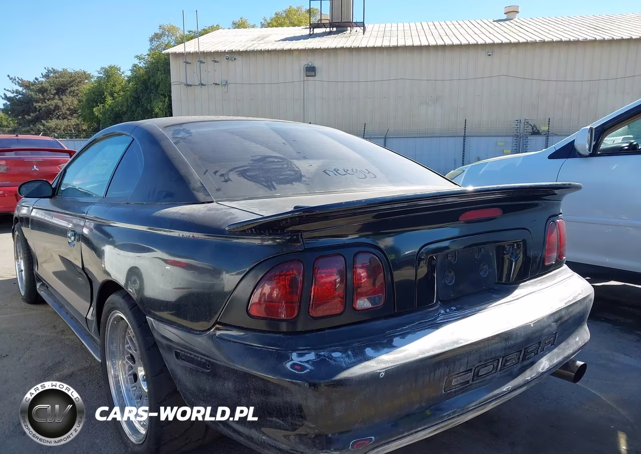 1997 Ford Mustang Cobra VIN:1FALP47V3VF111119 - 3