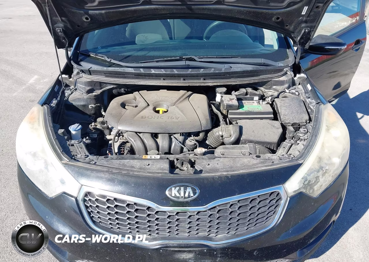 2015 Kia Forte Lx VIN:KNAFX4A63F5394506 - 10