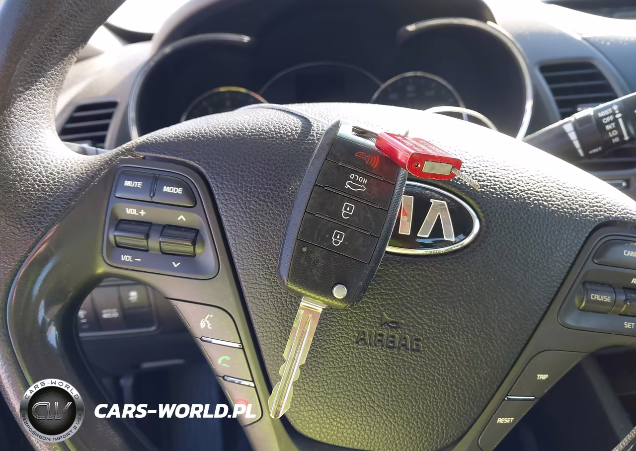 2015 Kia Forte Lx VIN:KNAFX4A63F5394506 - 11