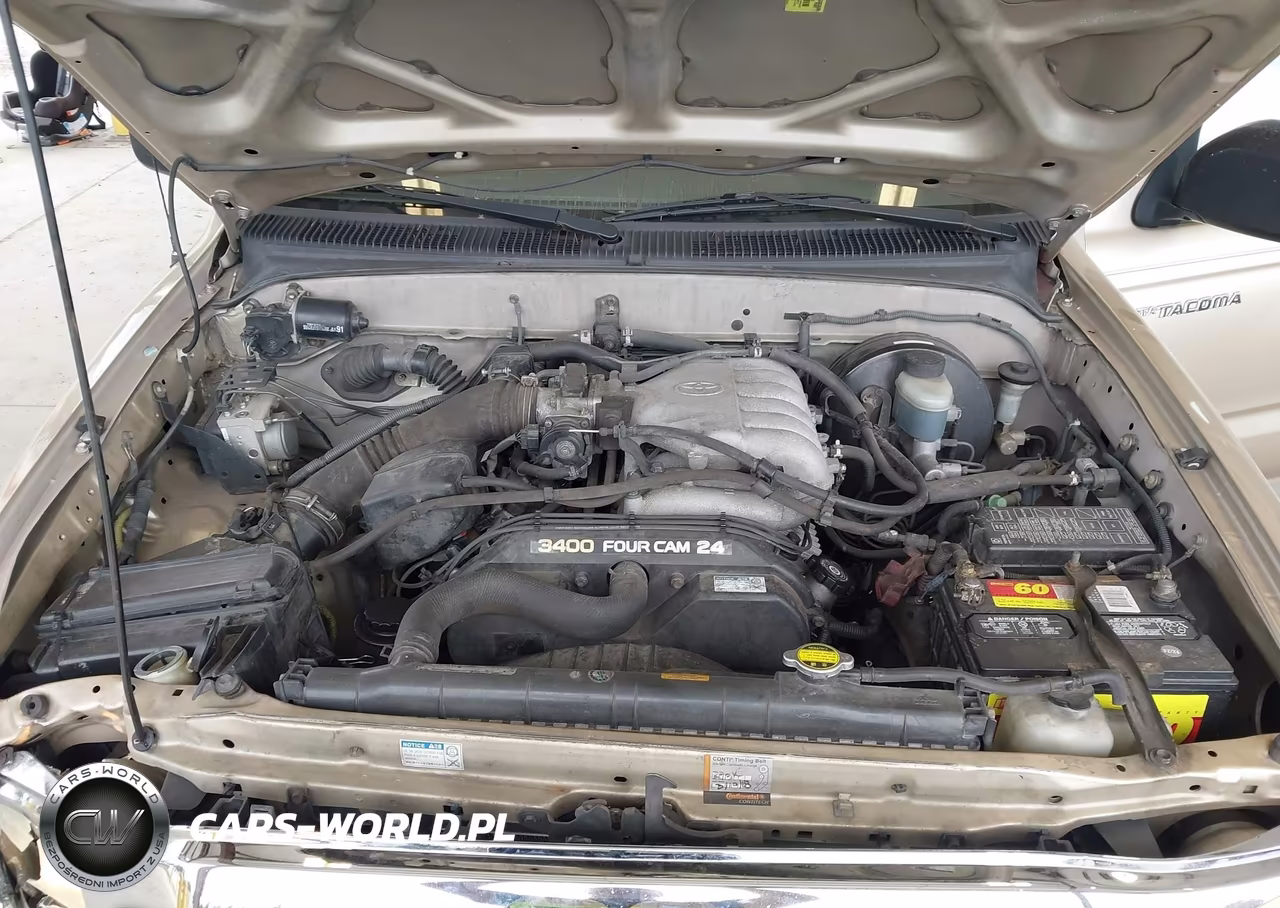2003 Toyota Tacoma Base V6 VIN:5TEWN72N63Z273803 - 10