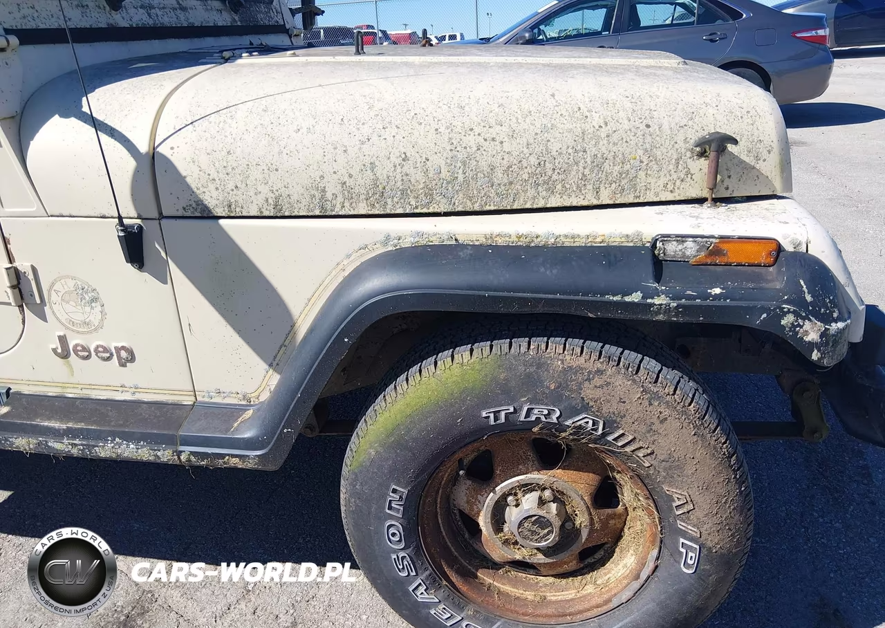 1989 Jeep Wrangler - Yj Sahara VIN:2J4FY49T1KJ130104 - 12