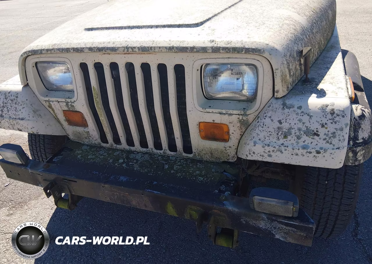 1989 Jeep Wrangler - Yj Sahara VIN:2J4FY49T1KJ130104 - 6