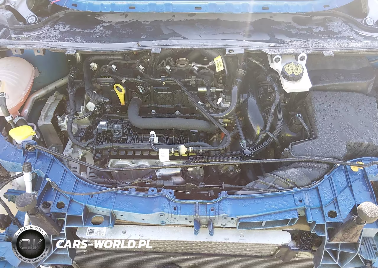 2019 Ford Escape Se VIN:1FMCU0GD8KUA81010 - 10