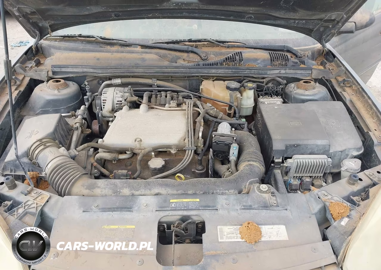 2004 Chevrolet Malibu Maxx Ls VIN:1G1ZT648X4F222056 - 10