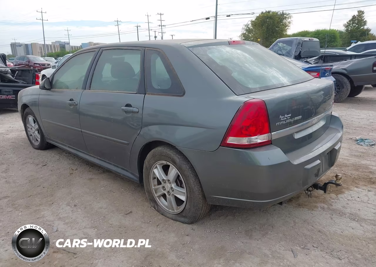 2004 Chevrolet Malibu Maxx Ls VIN:1G1ZT648X4F222056 - 3