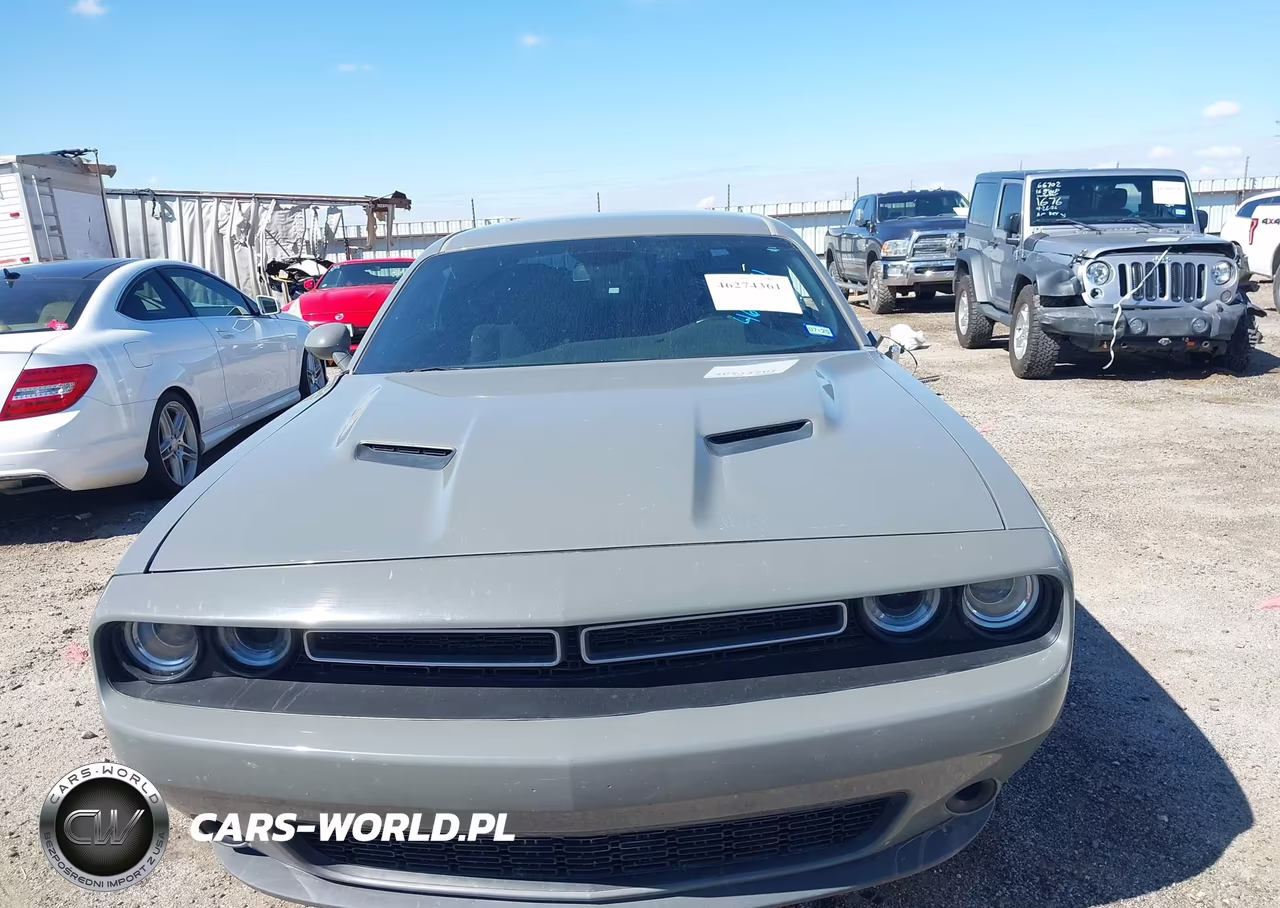 2019 Dodge Challenger Sxt VIN:2C3CDZAG3KH668721 - 13