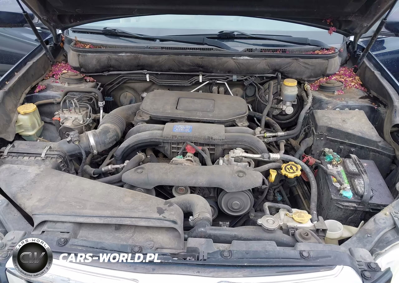 2012 Subaru Outback 2.5I Premium VIN:4S4BRCGC1C3240706 - 10