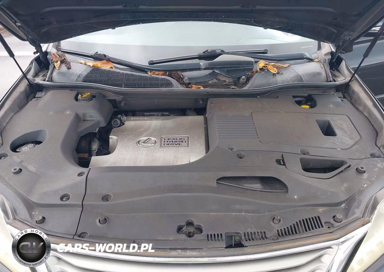 2013 Lexus Rx 450H VIN:JTJZB1BA2D2006502 - 10