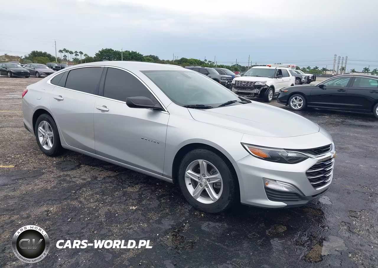 2019 Chevrolet Malibu 1Fl VIN:1G1ZC5ST1KF204351 - 1