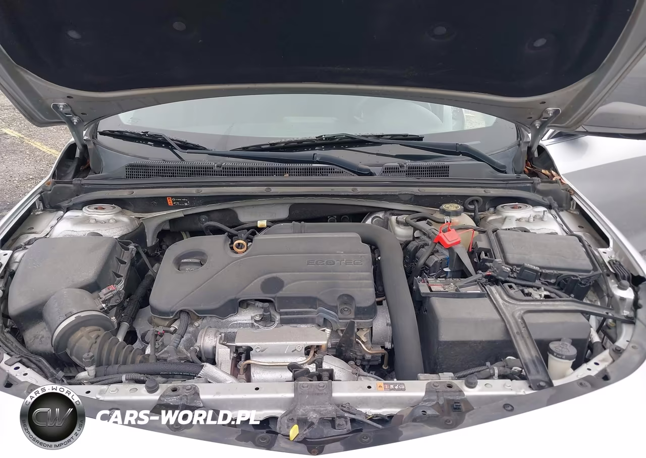 2019 Chevrolet Malibu 1Fl VIN:1G1ZC5ST1KF204351 - 10