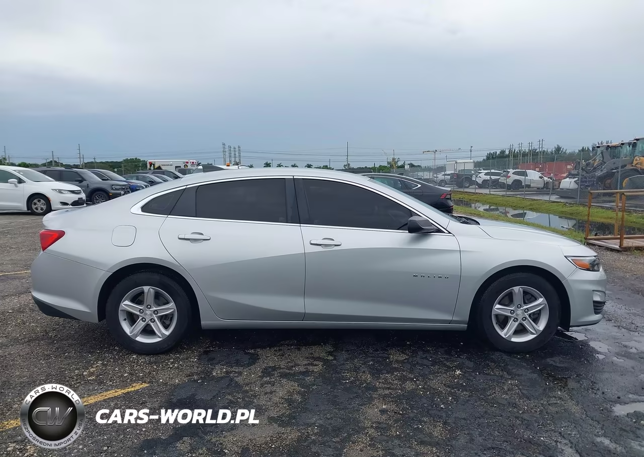 2019 Chevrolet Malibu 1Fl VIN:1G1ZC5ST1KF204351 - 15