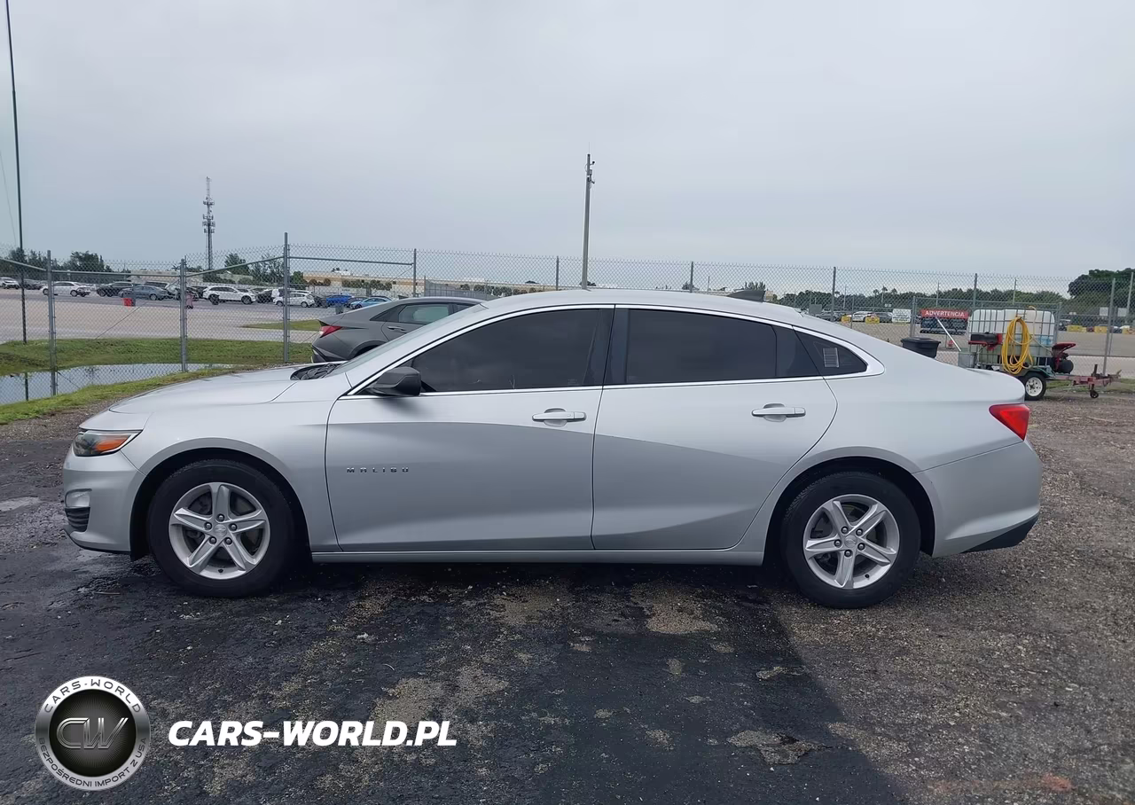 2019 Chevrolet Malibu 1Fl VIN:1G1ZC5ST1KF204351 - 16