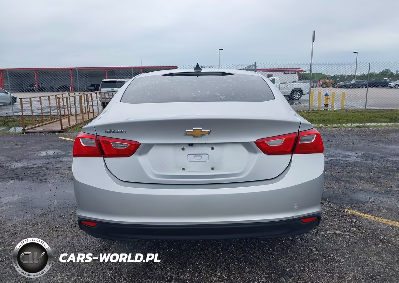 2019 Chevrolet Malibu 1Fl VIN:1G1ZC5ST1KF204351 - 18