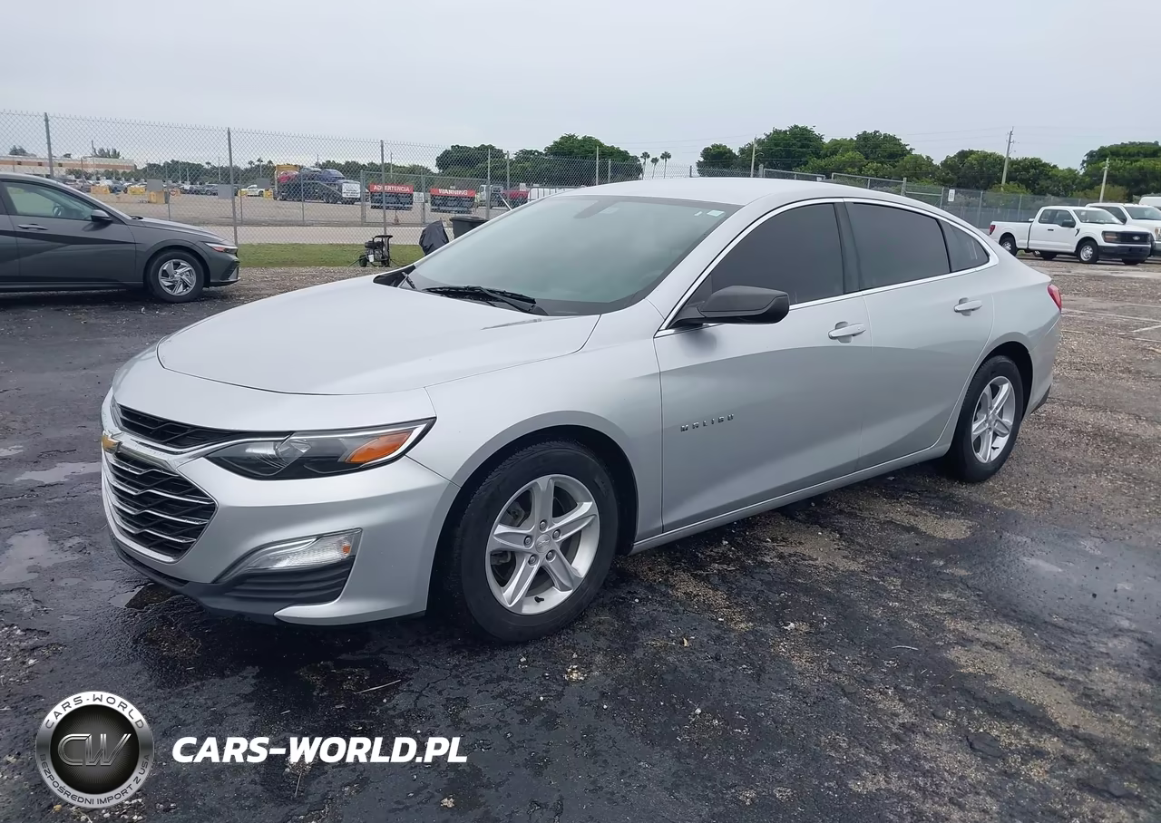 2019 Chevrolet Malibu 1Fl VIN:1G1ZC5ST1KF204351 - 2