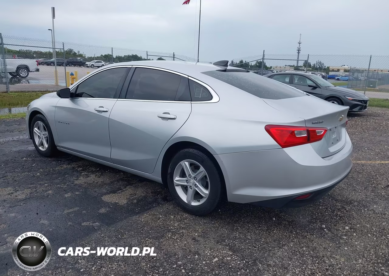 2019 Chevrolet Malibu 1Fl VIN:1G1ZC5ST1KF204351 - 3