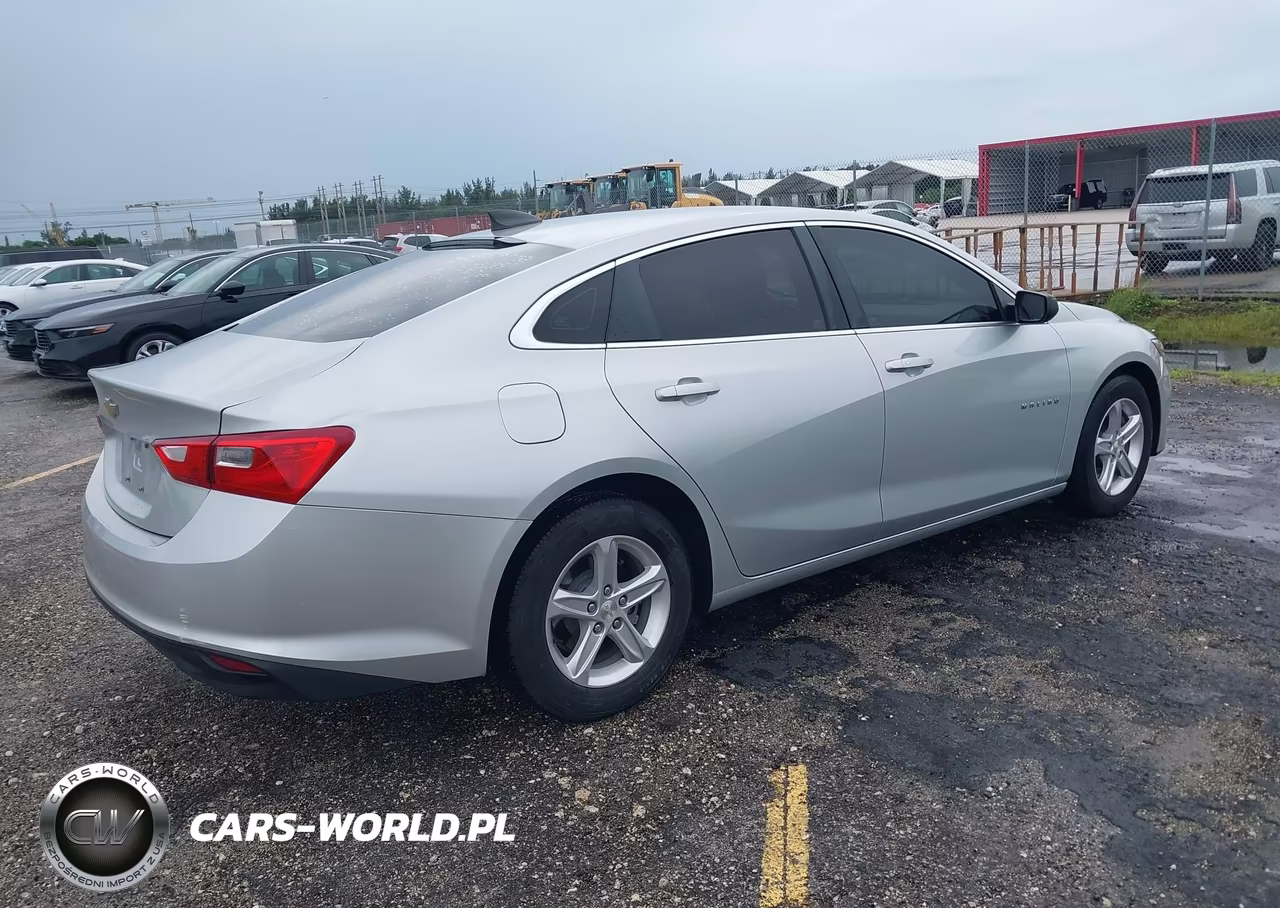 2019 Chevrolet Malibu 1Fl VIN:1G1ZC5ST1KF204351 - 4