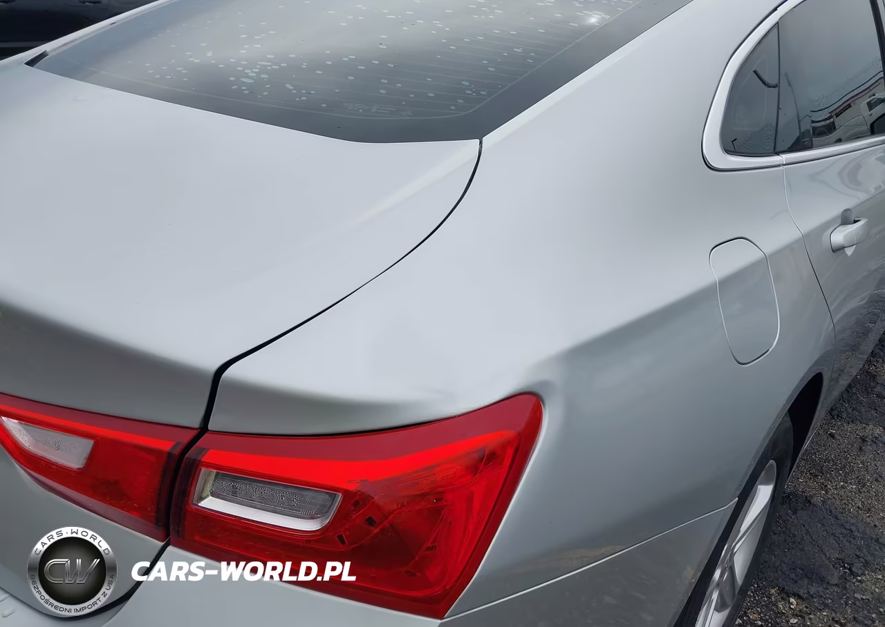 2019 Chevrolet Malibu 1Fl VIN:1G1ZC5ST1KF204351 - 6