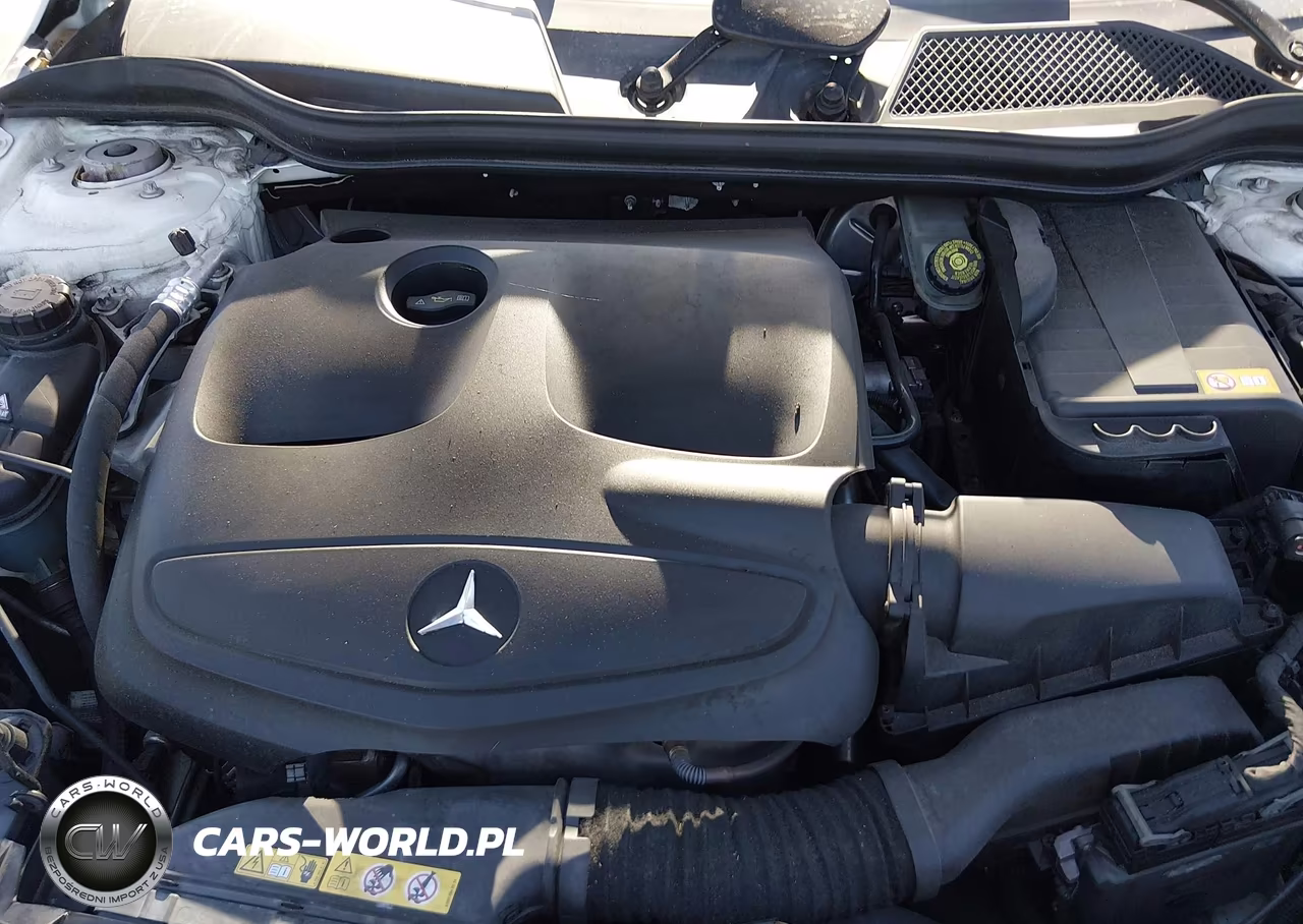 2014 Mercedes-Benz Cla 250 VIN:WDDSJ4EB4EN148837 - 10