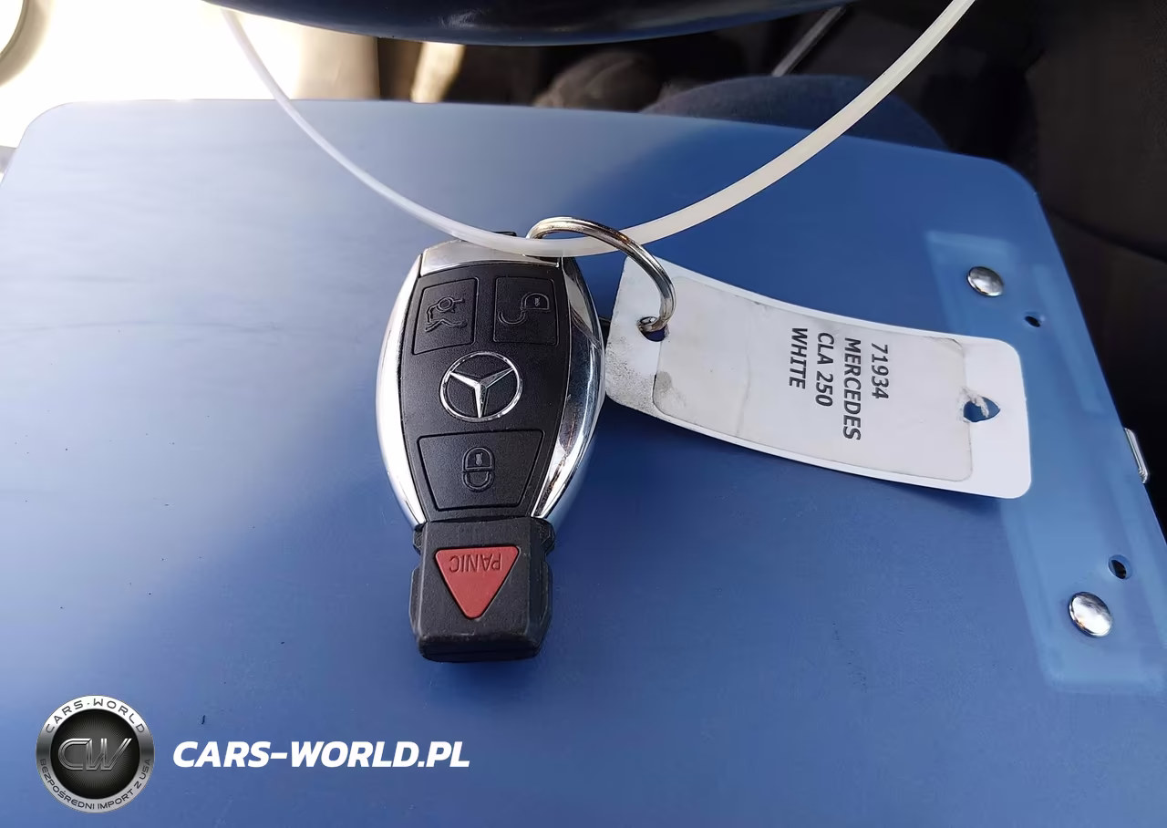 2014 Mercedes-Benz Cla 250 VIN:WDDSJ4EB4EN148837 - 11