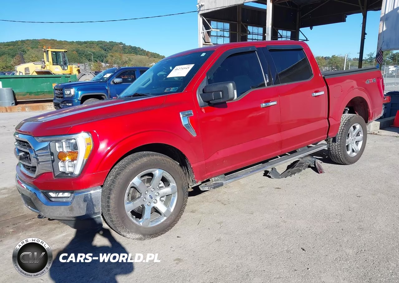2023 Ford F-150 Xlt VIN:1FTFW1E80PKD61286 - 2