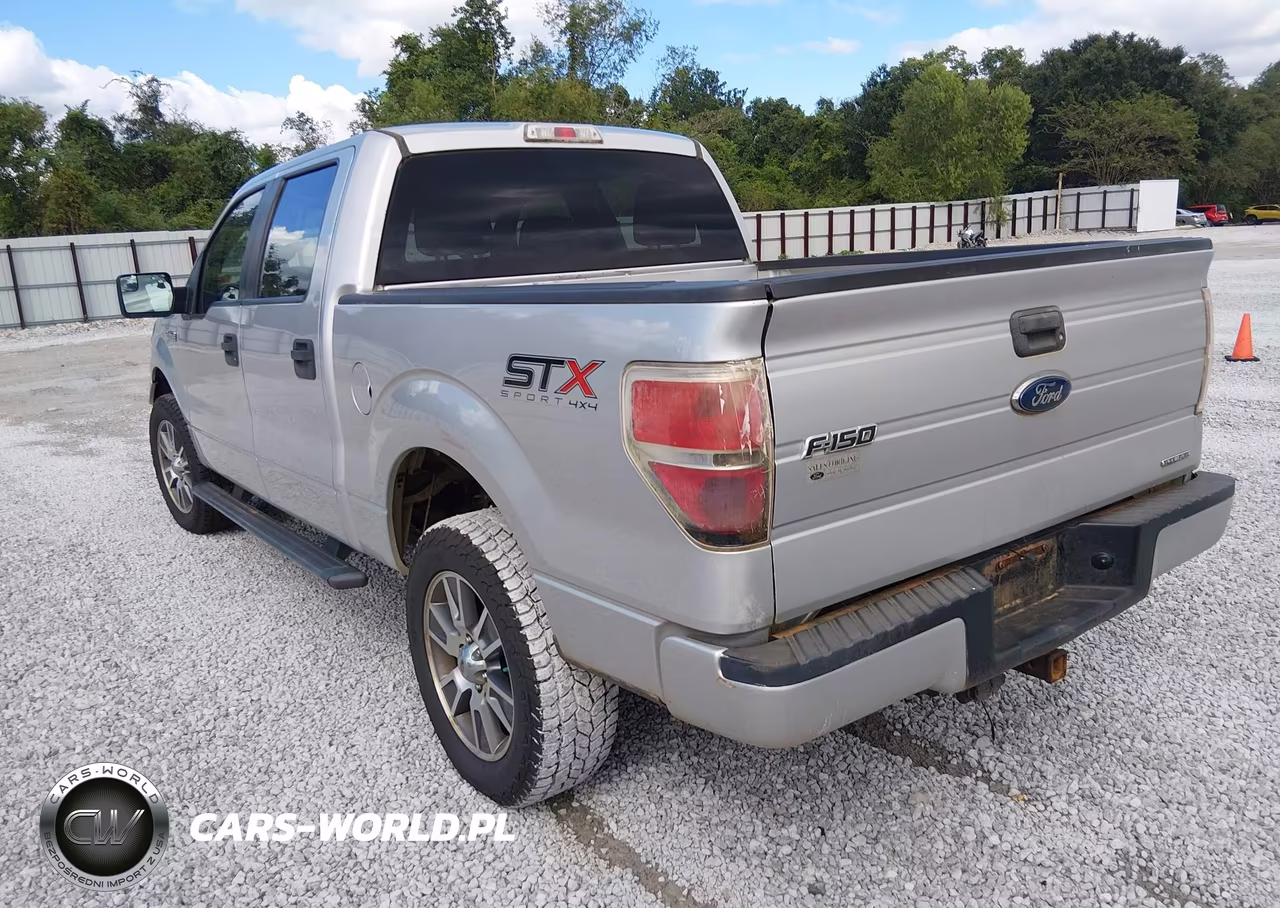 2014 Ford F-150 Stx VIN:1FTFW1EF3EFA66302 - 3