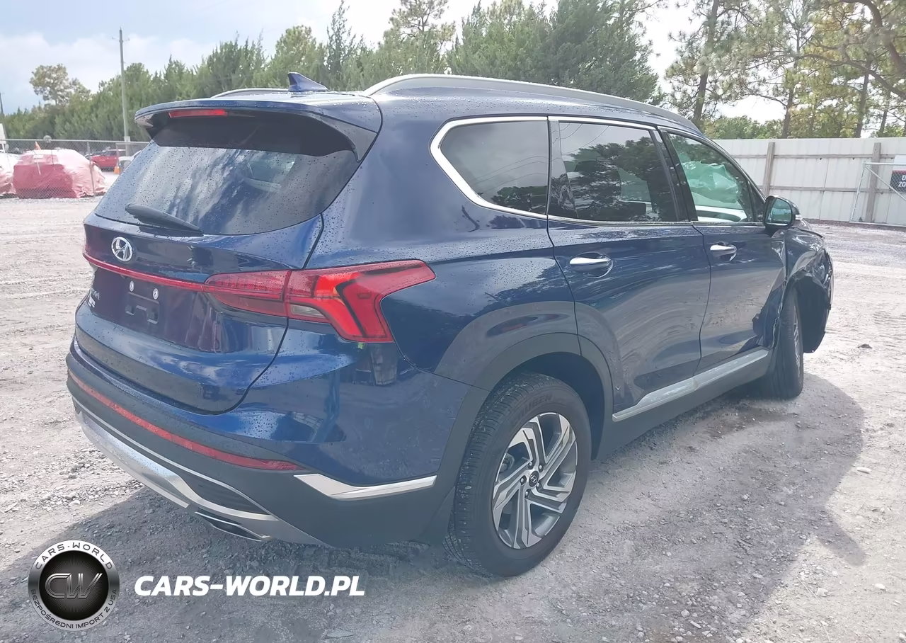 2023 Hyundai Santa Fe Sel VIN:5NMS34AJ6PH546360 - 4