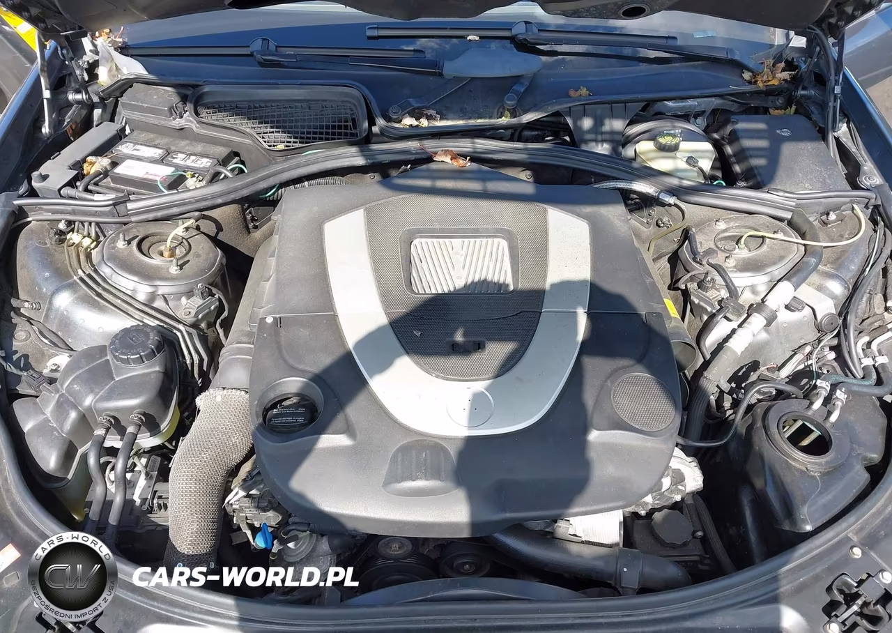 2007 Mercedes-Benz S 550 VIN:WDDNG71X07A031863 - 10