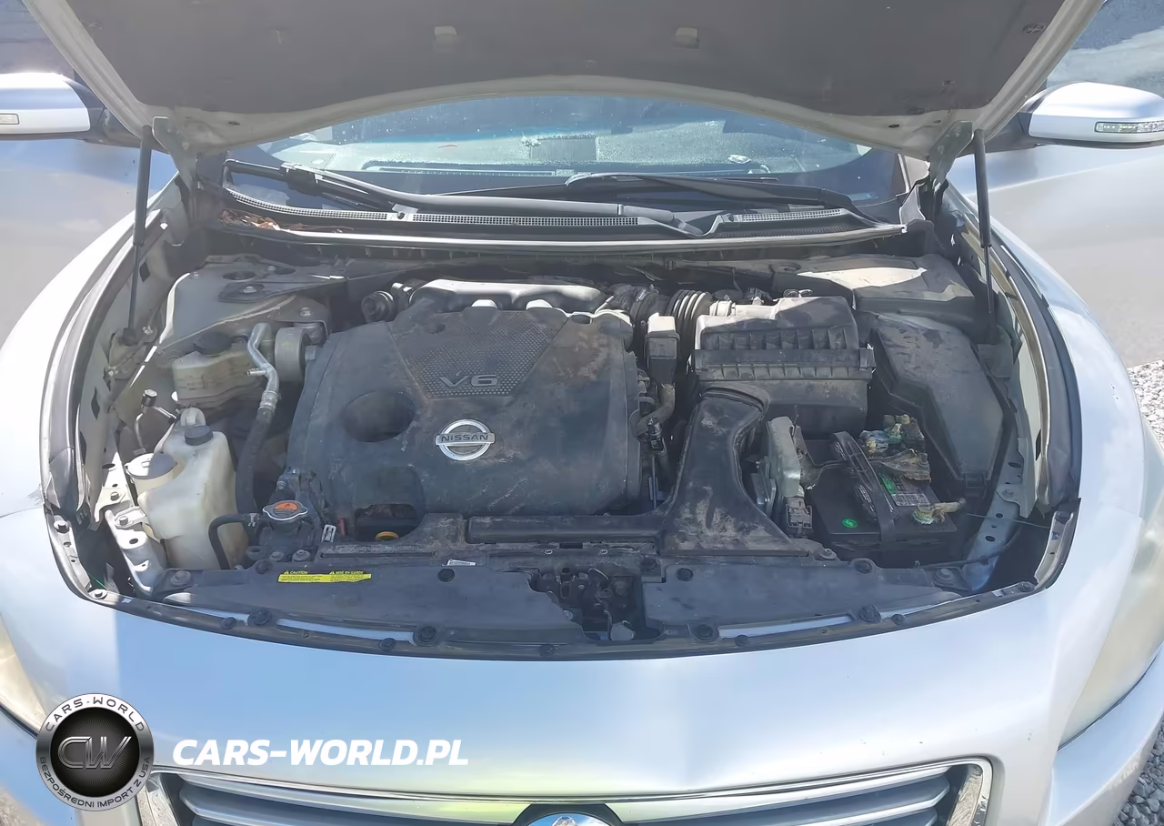 2014 Nissan Maxima 3.5 Sv VIN:1N4AA5AP3EC489239 - 10