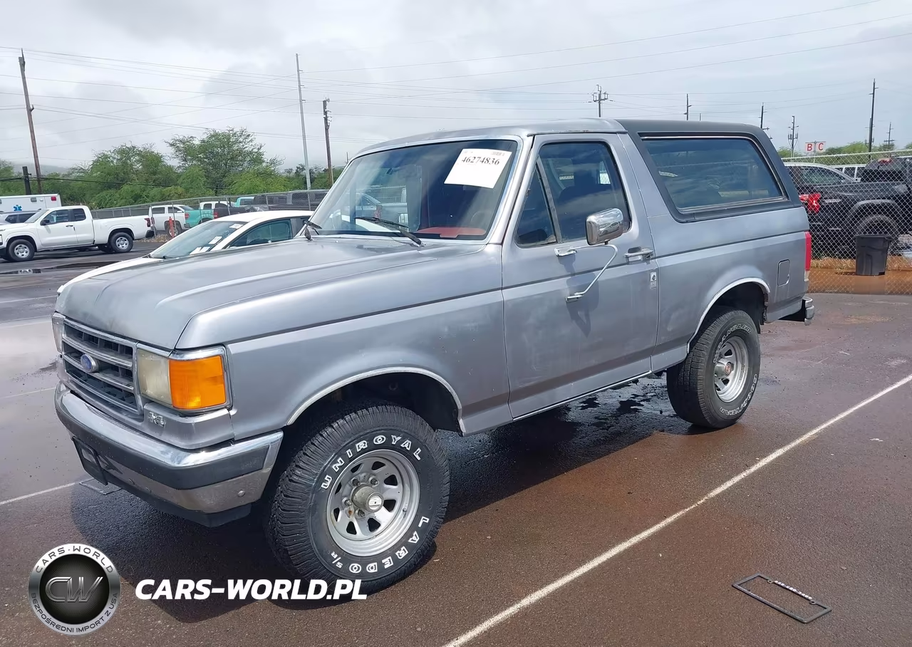 1987 Ford Bronco U100 VIN:1FMEU15H4HLA38822 - 2