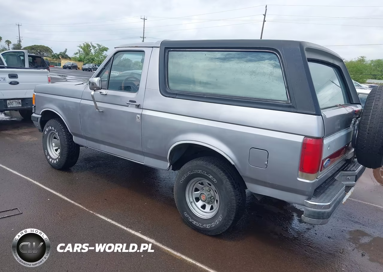 1987 Ford Bronco U100 VIN:1FMEU15H4HLA38822 - 3