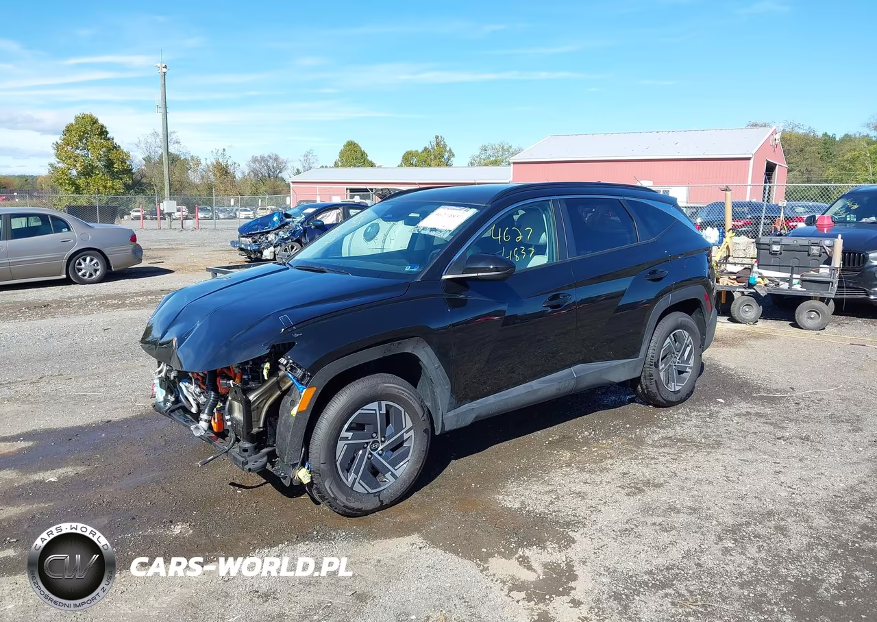 2025 Hyundai Tucson Hybrid Blue VIN:KM8JBDD13SU341361 - 2