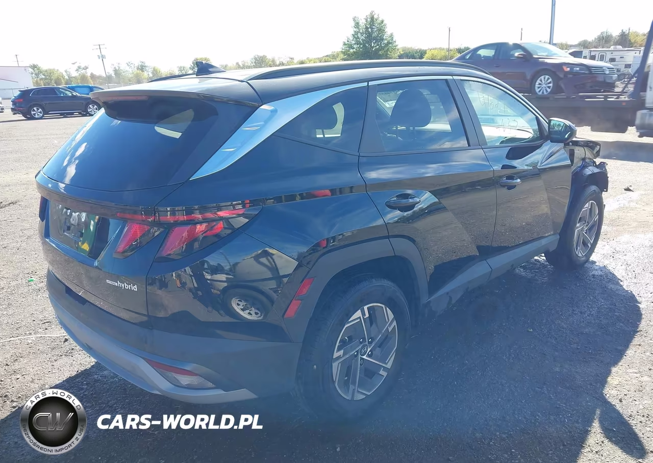 2025 Hyundai Tucson Hybrid Blue VIN:KM8JBDD13SU341361 - 4