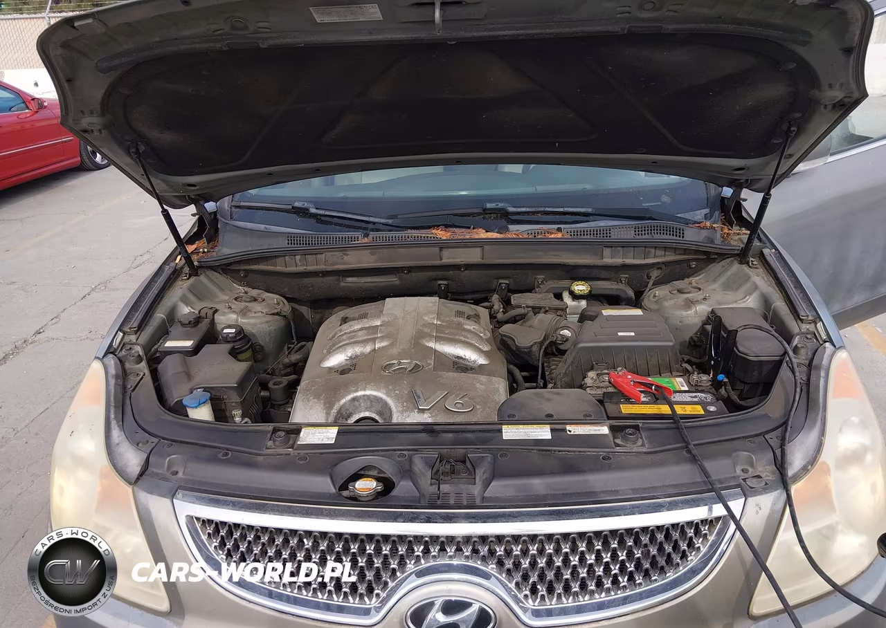 2007 Hyundai Veracruz Gls-Limited-Se VIN:KM8NU13C67U017325 - 10